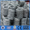 Hot dipped galvanized barbed wire for farm